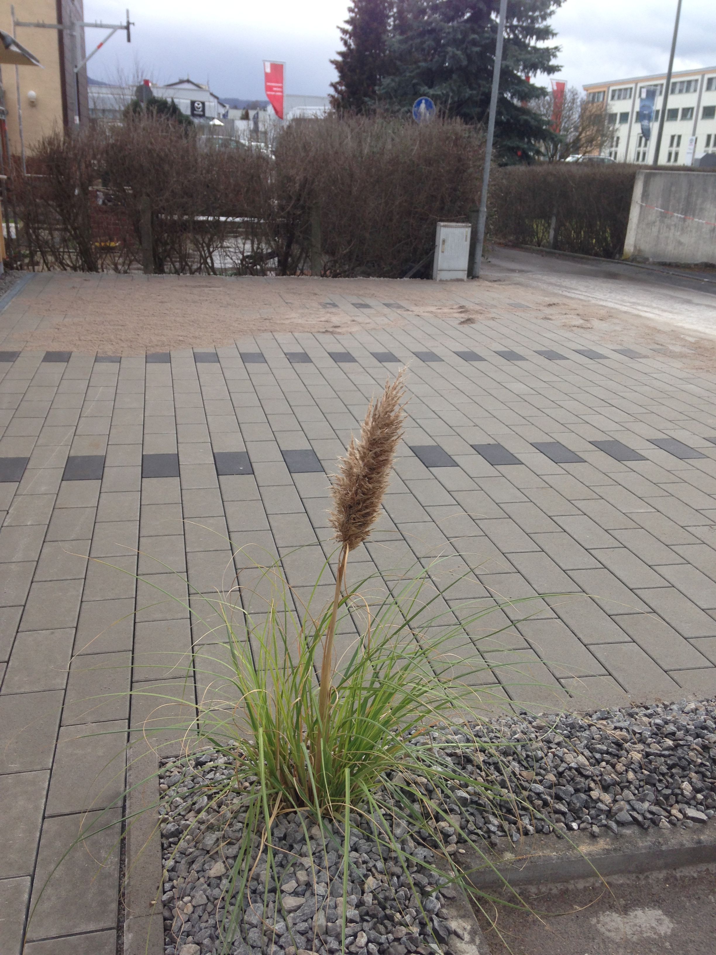 38ba298a-9b9c-43d0-b200-ef2f1127b9f0