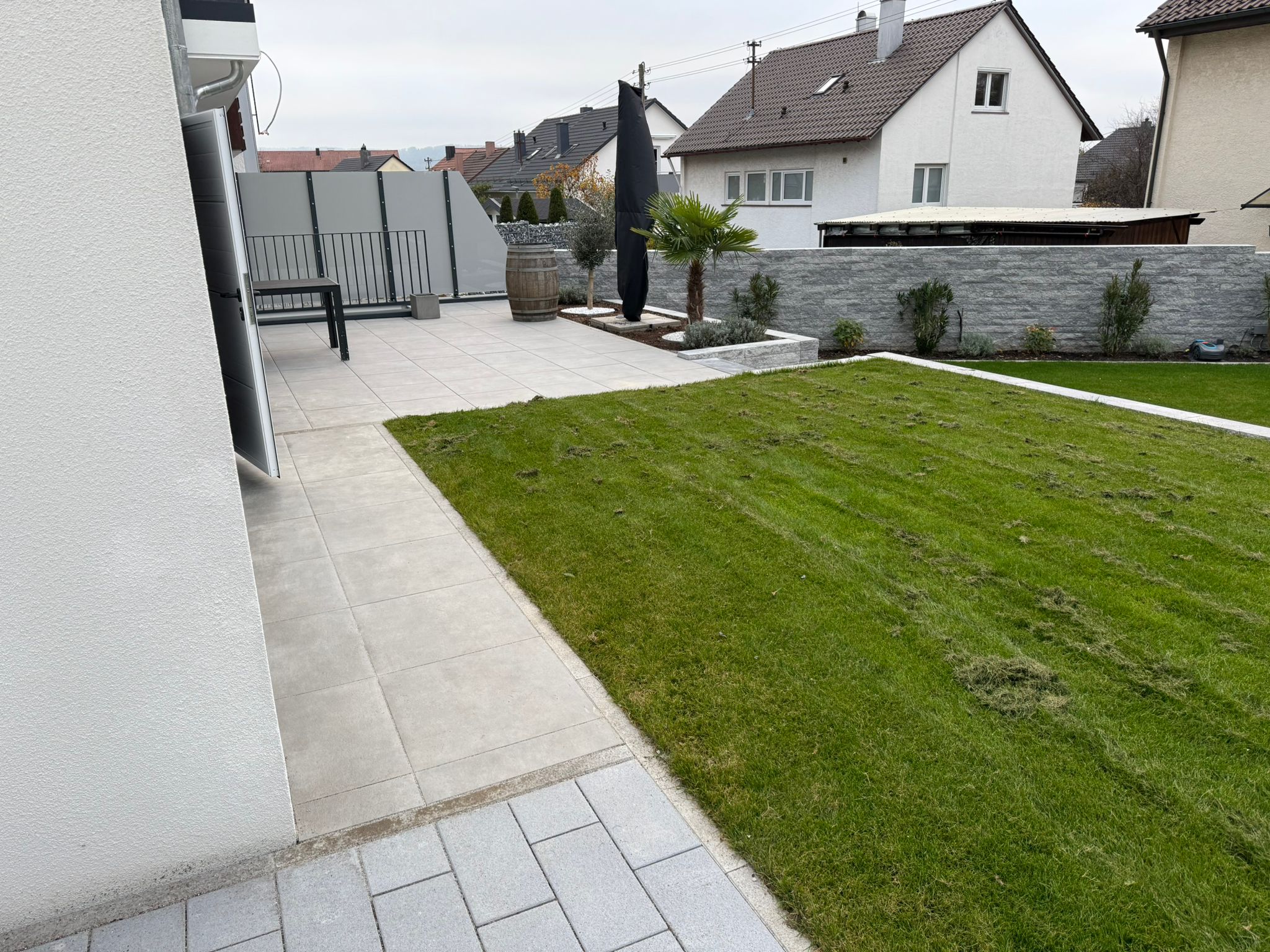 WhatsApp Image 2025-01-27 at 12.52.05 1